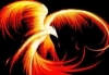 F.T.P The Fire Phoenix by IDragon76